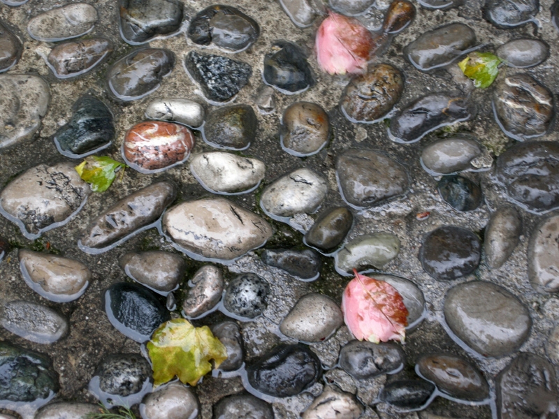 239 - RAINY DAY PATTERNS AT LIMONE, COMO - HARPER RICHARD - united kingdom.jpg